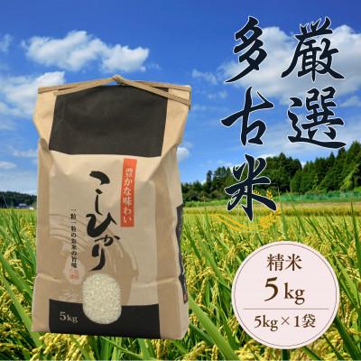 ふるさと納税 多古町 厳選多古米コシヒカリ　精米5kg　令和8年産