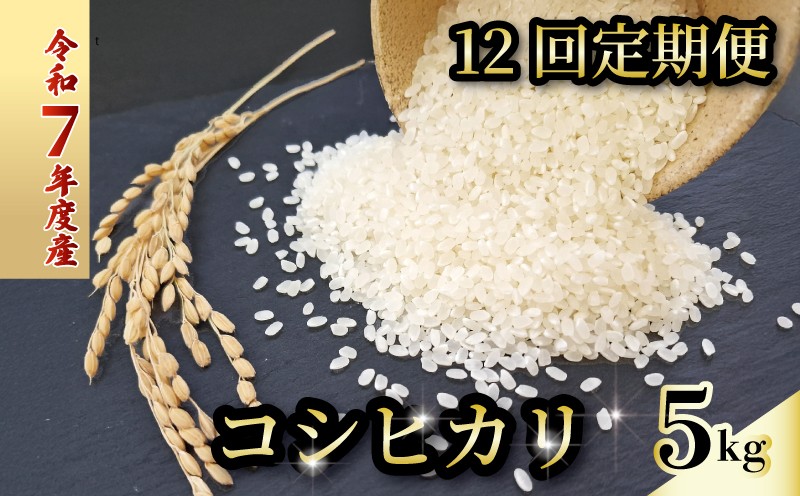 
            【お米定期便】 【12回】 令和7年度 コシヒカリ 数量限定 各5キロ 米 コメ 減農薬栽培 お米 精米 早場米 新米 ご飯 おにぎり こめ 白米 低化学肥料 高知県 南国市
          