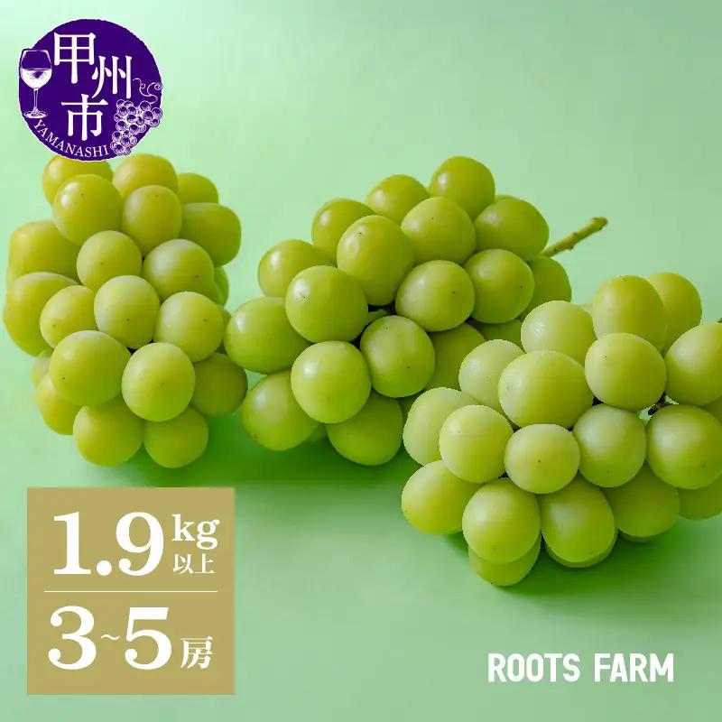 【数量限定】高品質なROOTS FARMシャインマスカット 1.9kg以上 3～5房入【2027年発送】（RO）C1-135 シャインマスカット フルーツ