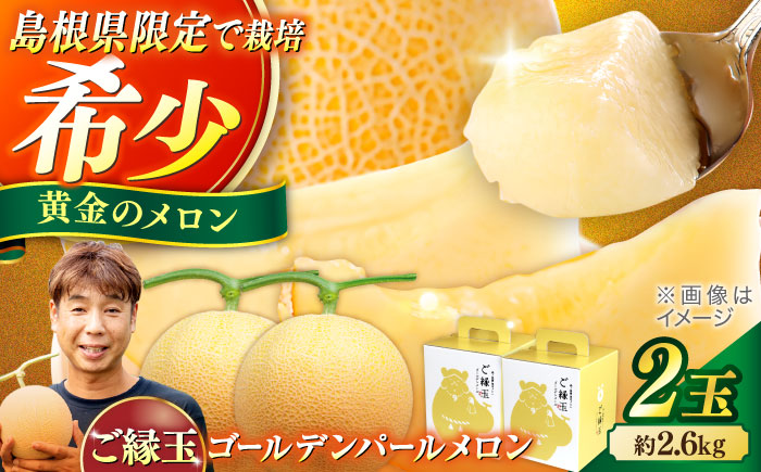 ゴールデンパールメロン1.3kg×2玉 島根県松江市/有限会社安藤農園 [ALID011]