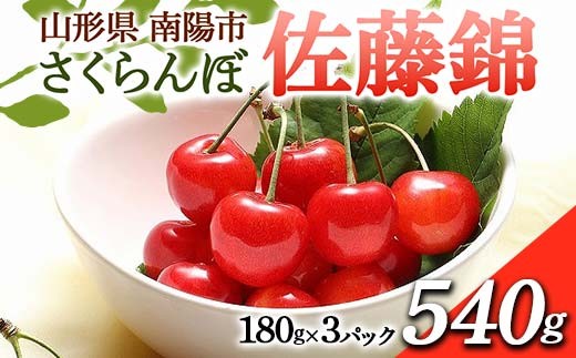 【令和6年産先行予約】 さくらんぼ 「佐藤錦」 600g (200g×3パ