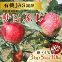 【ふるさと納税】 《訳あり》容量が選べる 有機JAS認証 サンふじ りんご 約3kg / 5kg / 10kg【和楽堂りんご養生農苑】 青森りんご リンゴ 林檎 アップル 青森県 南部町 三戸 南部 果物 くだもの フルーツ オーガニック 家庭用 F21U-286var