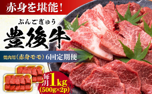 【全6回定期便】おおいた豊後牛 赤身モモ 焼肉用 1kg(500g×2P) 日田市 / 株式会社MEAT PLUS　牛 うし 黒毛和牛 和牛 豊後牛 [AREI096]