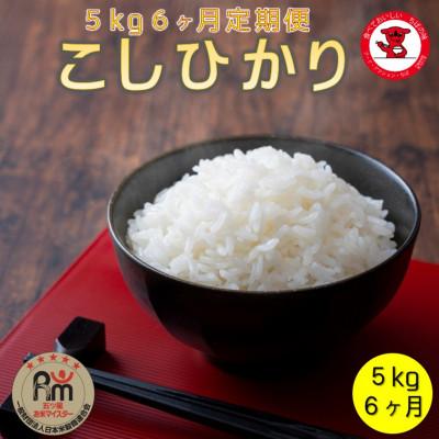 ふるさと納税 銚子市 【毎月定期便】千葉県産コシヒカリ 5kg　[五ツ星お米マイスター厳選]全6回
