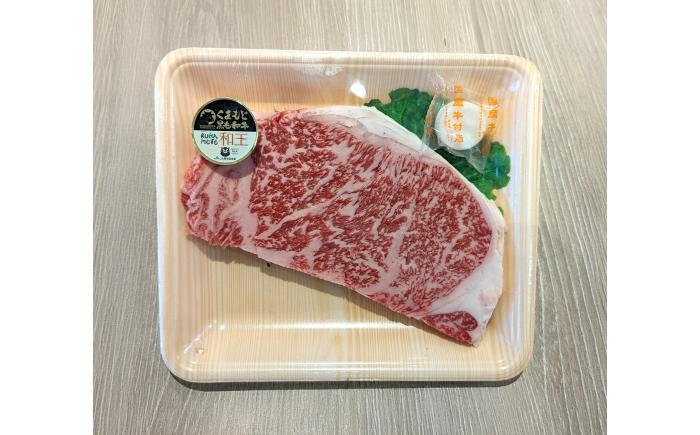 
            くまもと 黒毛和牛 和王 サーロイン ステーキ 約200g（約200g×1枚）【菊池地域農業協同組合】 [AYBR014]
          