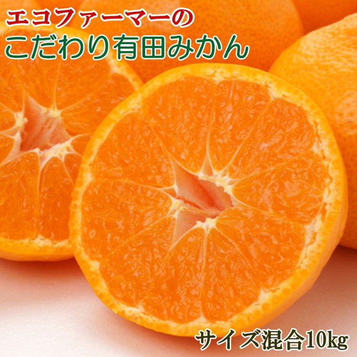 ZD92069_【2025年先行予約】エコファーマーのこだわり 有田みかん 10kg (サイズ混合・秀・優品)【数量限定】