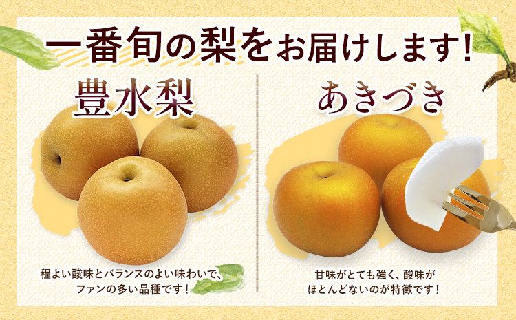 熊本県氷川町産 吉野梨 品種おまかせ 約4kg (2～16玉前後) 《8月上旬-9月末頃出荷予定》---hkw_cysnns_af8_25_10500_4kg---