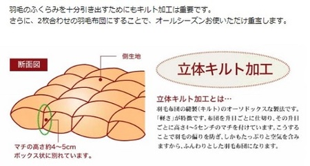 夏に使う羽毛ふとん/立体キルト 布団 睡眠 寝具 ふとん【251-000284-20】【19.5-1】