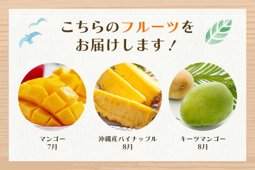 【定期便全3回】沖縄フルーツ定期便 3回 スナックパイン マンゴー キーツマンゴー