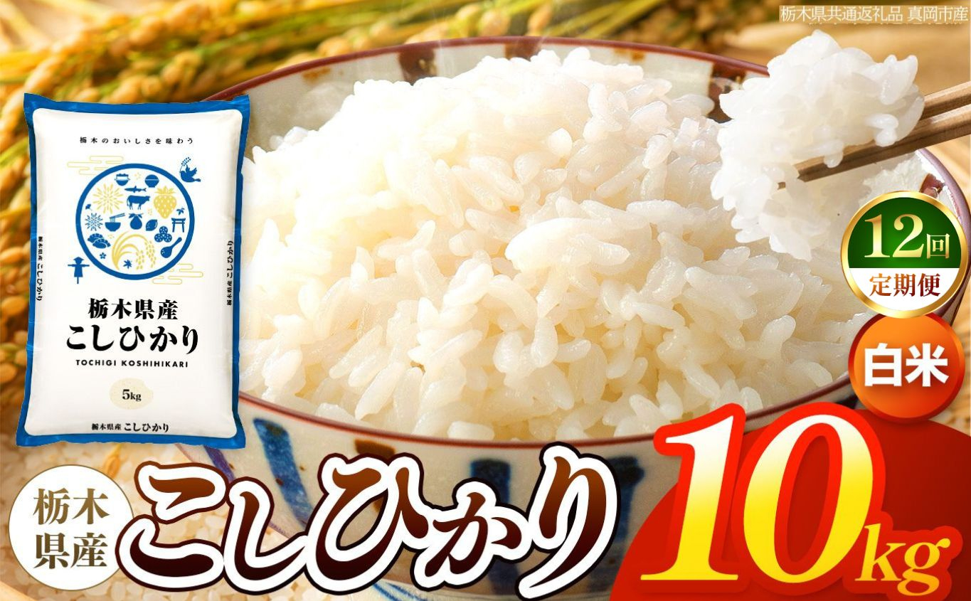 【令和8年産 新米】 【定期便12回】栃木県産 お米 こしひかり　（白米） 10kg 【2026年秋以降発送 】 |  栃木県 矢板市 【栃木県共通返礼品 真岡市産】