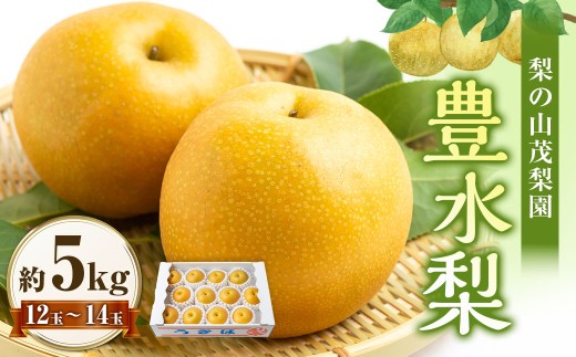 【先行予約】 梨の山茂梨園 豊水梨 12玉から14玉 （約5kg） 【2026年8月下旬～9月上旬より順次発送予定】 梨 なし ナシ 豊水 ほうすい 果物 くだもの フルーツ 果実 新鮮 フレッシュ ジューシー お取り寄せ 福岡県 うきは市 常温