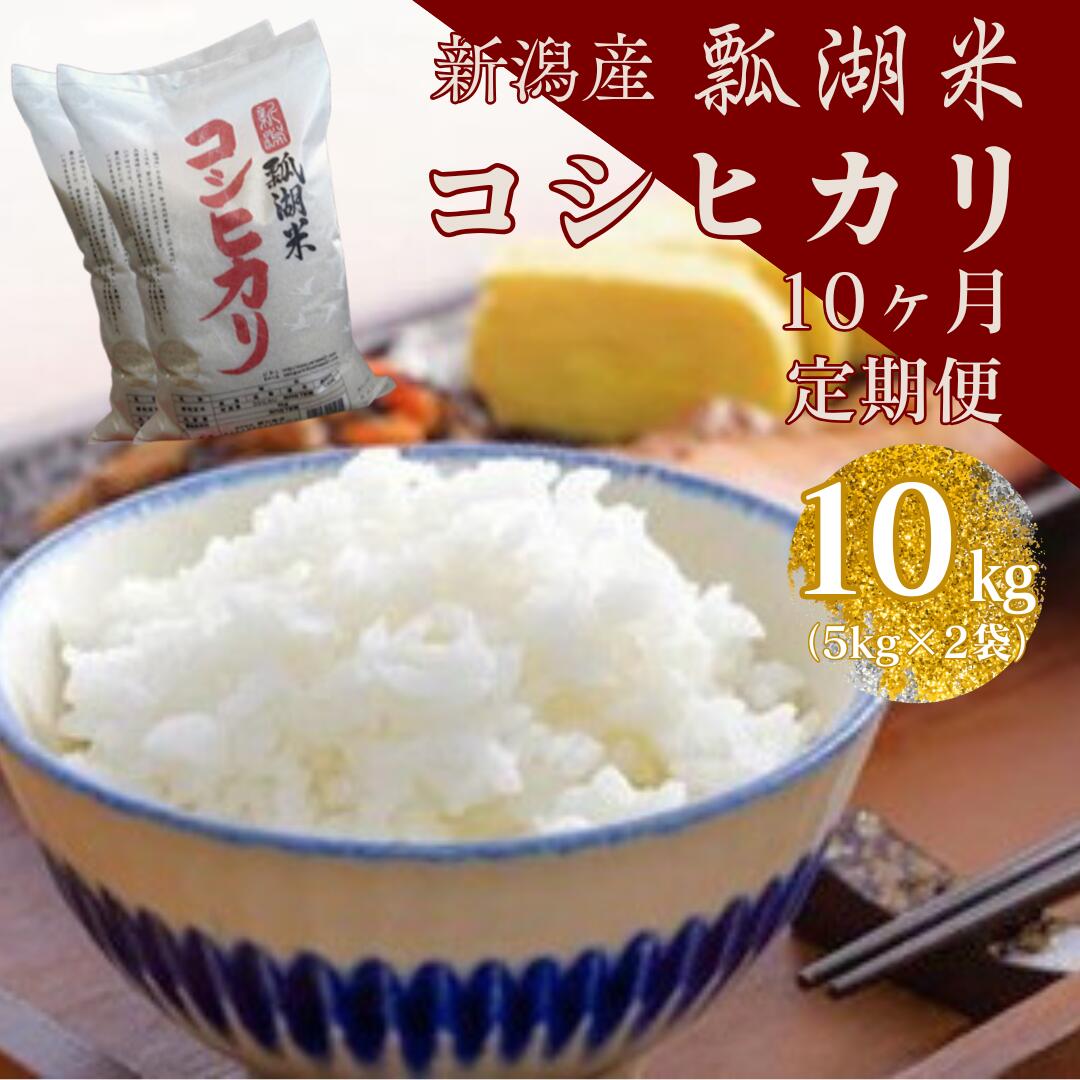 【ふるさと納税】【令和7年産】【10ヶ月定期便】新潟産 コシヒカリ「瓢湖米」 10kg×10回 白米 精米 米 こめ コメ