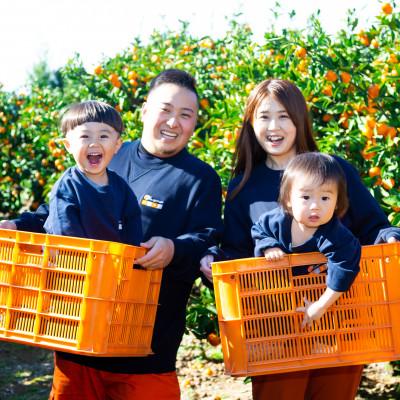 ふるさと納税 八幡浜市 【まろやか果汁、やさしい酸味。】愛媛育ちの完熟レモン 4kg【C49-103】 |  | 02