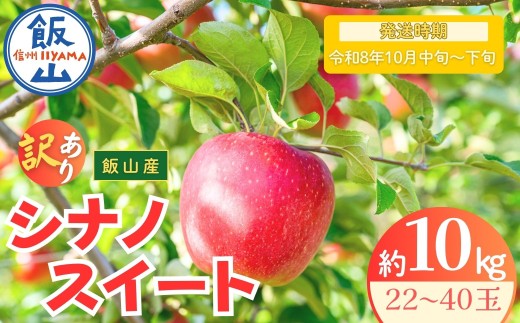 【先行予約丨2026年10月中旬より順次発送】訳あり シナノスイート【約10kg (22〜40玉)】(At-022)丨長野県 飯山市 おすすめ ランキング おいしい 高評価 大人気 先取り 産地直送 りんご 訳あり 規格外