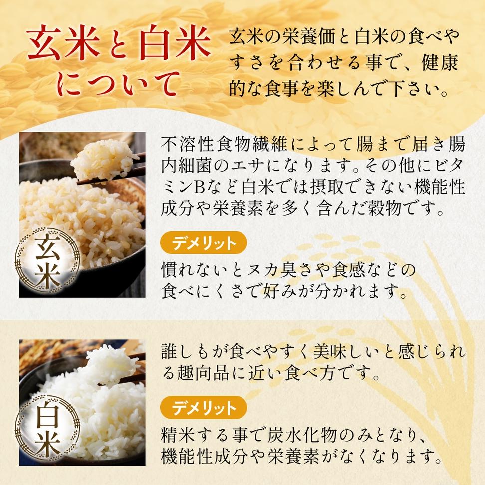 ＜ 食べ比べ ＞ 令和7年産 氷見産コシヒカリ 氣ノ源 豊穣米 