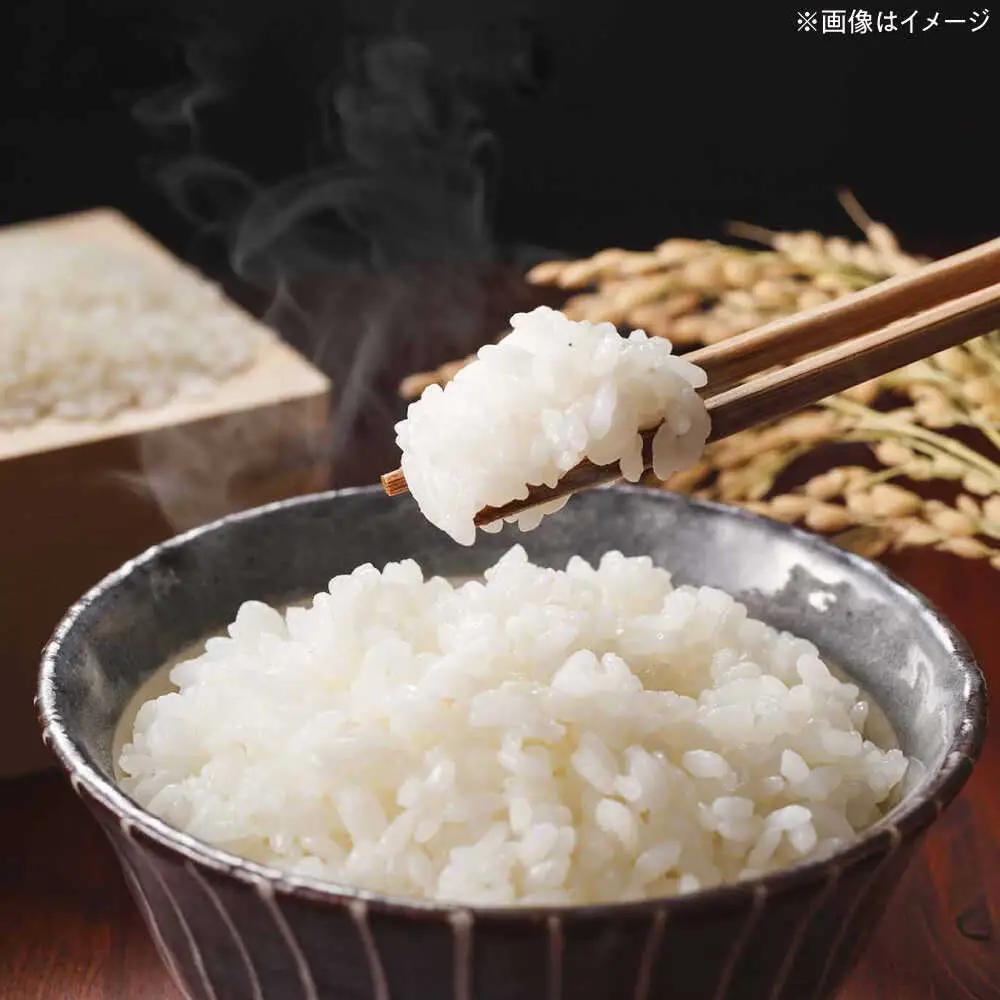 【全6回定期便】【令和7年度産】無洗米 夢つくし 20kg 精米[BGBV021]
