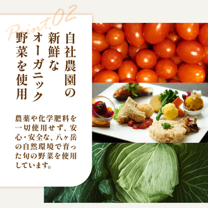 「奏樹 Planetary Health & Beauty Dining」食事券【6,000円分】 チケット 八ヶ岳 自社農園 オーガニック 栽培期間中農薬・化学肥料不使用 アルソア 女神の森 山梨県