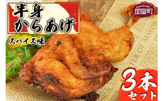 
										
										＜半身からあげ（スパイス味）3本セット＞準備でき次第翌々月までに順次発送【0306_hi】
									