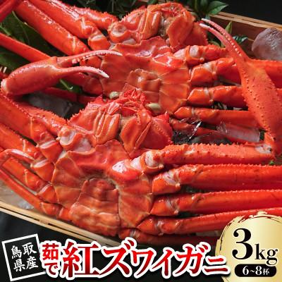 ふるさと納税 智頭町 【先行予約】鳥取県産 茹で紅ズワイガニ 3kg(6〜8杯) 2026年9月〜2027年5月発送