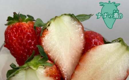 いちご 掛川産 完熟いちご すず薫り280g×４P 1.12kg (5～15粒入×4P) 1月～２月順次発送 水野農園 6276
