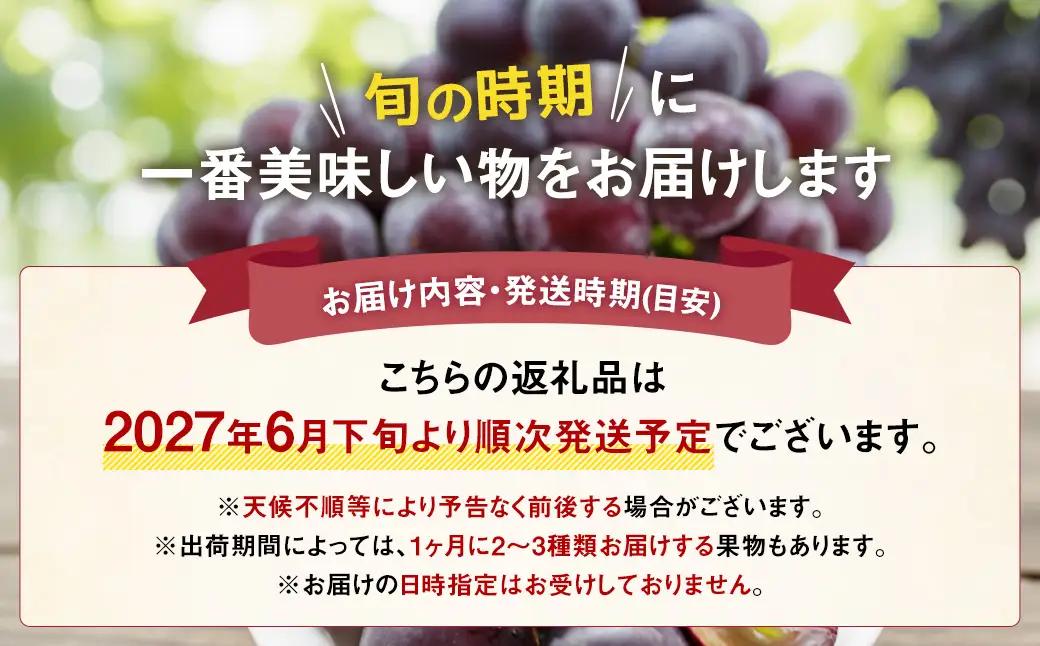 【先行受付】【6回定期便】 フルーツ王国 山梨県産 6種セット ／ えべし フルーツ 果物 くだもの 貴陽 すもも もも 桃 梨 なし ぶどう ブドウ 葡萄 シャインマスカット キウイ 新鮮 果実 産