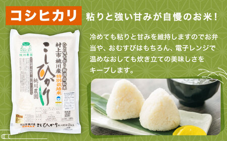 【新米受付・令和8年産米】 新潟県村上市桃川産  特別栽培 コシヒカリ 6kg（2kg×3袋）NA4209