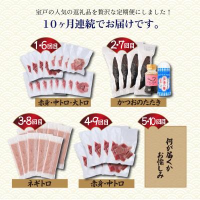 ふるさと納税 室戸市 【贅沢定期便「シン」/全10回】タカシン水産厳選 高知の海鮮セット |  | 01