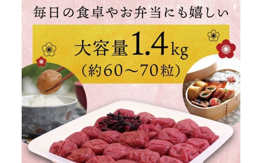 最高級 紀州南高梅 大粒 しそ風味梅干し 1.4kg 【ご家庭用】 / 梅干 梅干し 梅 うめ しそ しそ梅 しそ梅干し 南高梅 家庭用【inm200A】