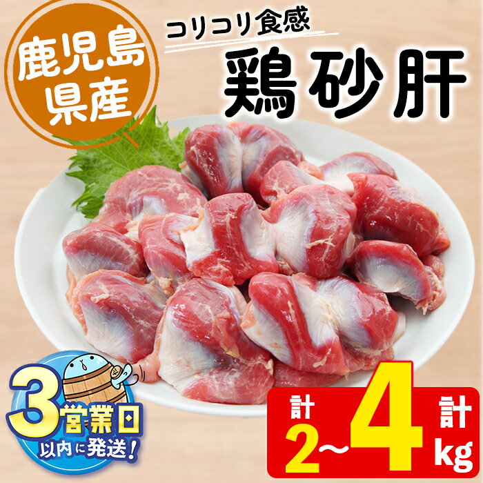 【ふるさと納税】＜すぐ届く！＞【容量が選べる！】鹿児島県産鶏砂肝(計2kg or 4kg) 肉 鶏肉 砂肝 砂ズリ 砂ずり 骨なし 唐揚げ から揚げ 焼鳥 炒め物 塩焼き BBQ 国産 九州産 冷凍【宮下商店】