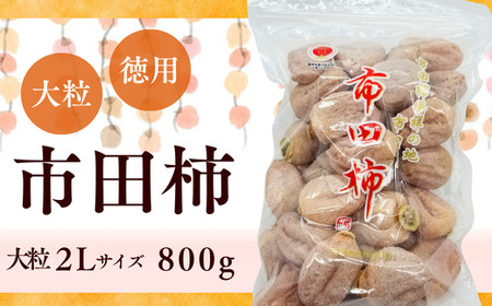 TS02-25A 南信州産 市田柿 2Lサイズ 800g（ご家庭用大袋）//長野県 南信州 干し柿 市田柿 高糖度 ドライフルーツ 家庭用 自宅用 大袋 大粒 2Lサイズ