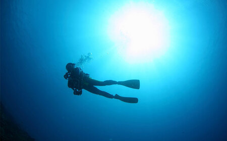 ダイビング 奄美の海を満喫　2ボートダイビング【ライセンス保有の方対象】 