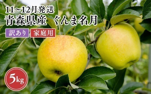 
                  2026年11月～12月発送　【訳あり】家庭用王林 約5kg【原田農園】 家庭用 青森 青森県産 平川 りんご リンゴ 林檎 くだもの 果物 フルーツ 
                