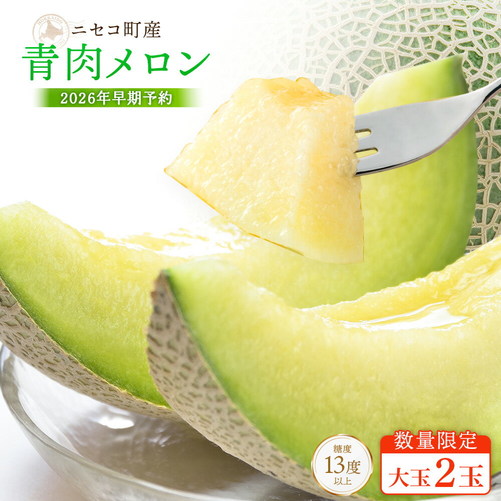 【ふるさと納税】【北海道ニセコ町産】青肉メロン大玉2玉　＜数量限定・2026年早期予約・7月下旬より出荷予定＞【02036】