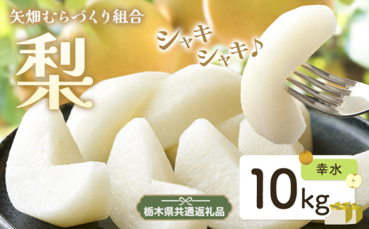 N02 梨 なし 幸水 10kg フルーツ 先行予約 矢畑むらづくり組合《7月下旬-8月下旬頃出荷》 栃木県【栃木県共通返礼品　栃木県産】【配送不可地域あり】(離島)
