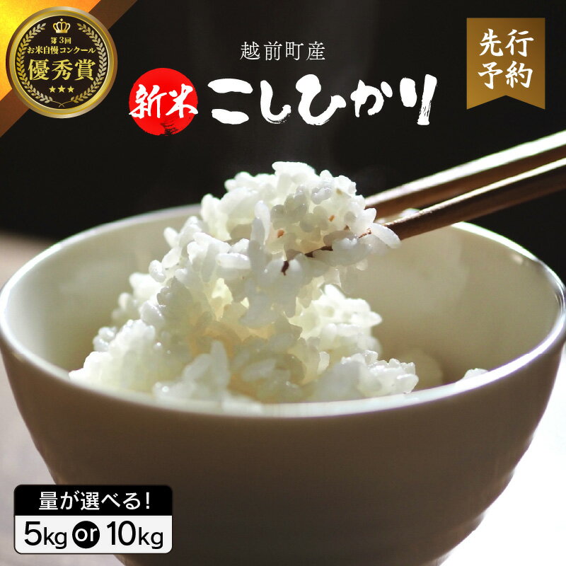 【ふるさと納税】【新米・先行予約】お米 こしひかり 5kg / 10kg（精米）令和8年 福井県産 炊きたての美味しさを追求したお米【米 コメ kome 5キロ 10キロ 精米 白米 人気品種 便利】【2026年10月下旬以降順次発送開始！】