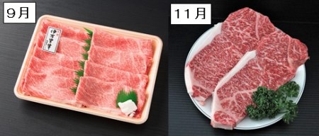 伊万里牛食べつくし 定期便 6回便  モモスライス入り ヒレステーキ 15万円コース J252