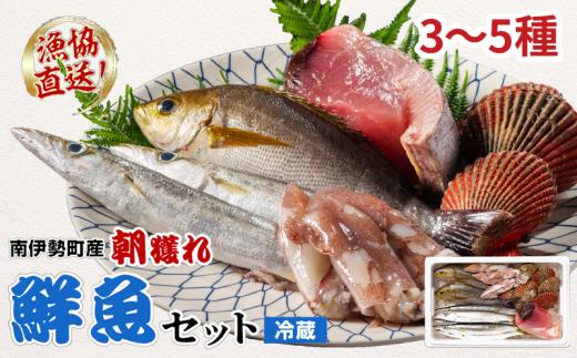 鮮魚 セット 3～5種 おまかせ カツオ ブリ まぐろ アジ サバ イワシ タイ 貝類 ひもの お刺身用柵 ブロック 刺身 お刺身 刺し身 お刺し身 海鮮 海の幸 魚 魚介 朝どれ 新鮮 詰合せ おいしい とれたて 旬 三重外湾漁業組合 三重県 伊勢志摩