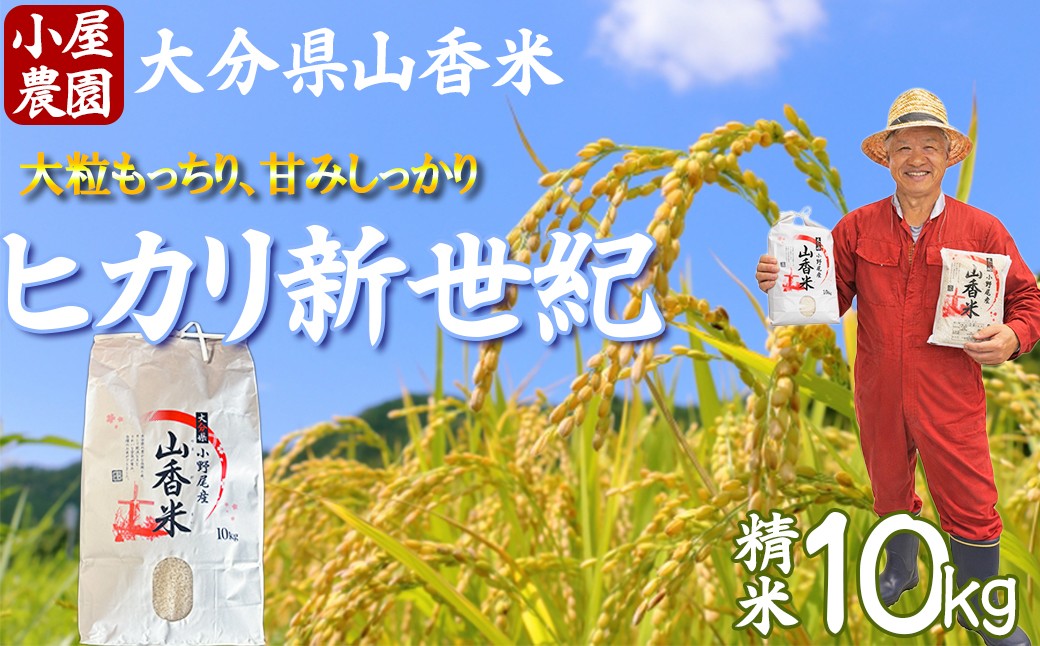 
                  新米 先行予約 令和8年産 精米 (ヒカリ新世紀) 10kg 【小屋農園】 2026年産 ＜159-034＞
                