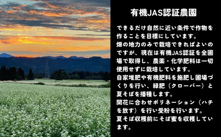 食べるサプリメントそば蜜 500g×1本 そばみつ イチカラ畑｜はちみつ