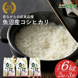 【令和8年産 先行予約】 昔ながらの魚沼産コシヒカリ 従来品種 精米 6kg（2キロ×3袋）農園ビギン | おこめ 特A評価 小千谷市 コシヒカリ