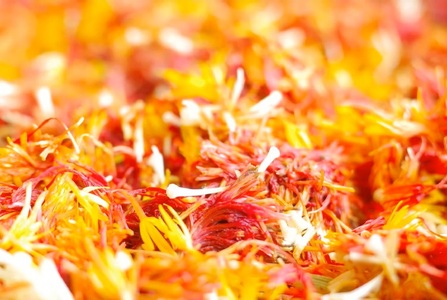 烏梅紅花染め体験 生地染めコース 70-003