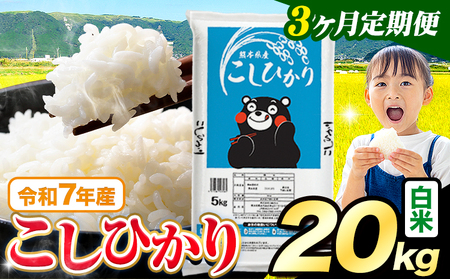 【3ヶ月定期便】令和7年産 白米 こしひかり 20kg 《お申込み翌月から出荷》 