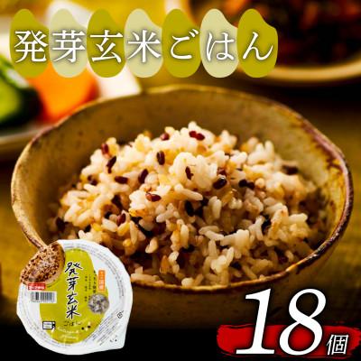 ふるさと納税 松原市 ご飯パック 発芽玄米ごはん 160g×18個