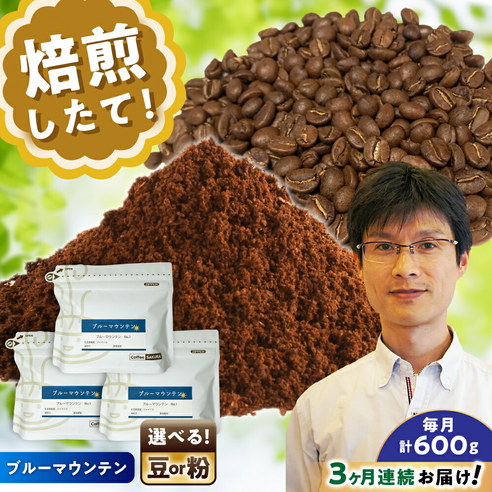 【ふるさと納税】【全3回定期便】[選べる豆 or 粉] ブルーマウンテンNo.1　200g×3個 / 珈琲 コーヒー / 瀬戸市 / Coffee　SAKURA[BBAB091]