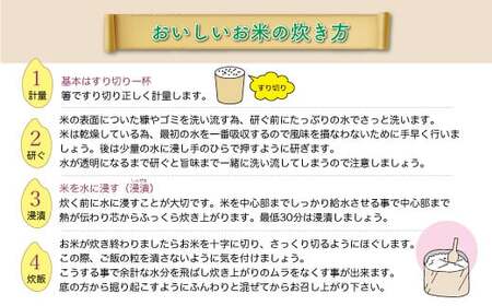 ＜数量限定＞ 令和7年産 雪若丸【白米】30kg定期便 (10kg×3回) 山形県真室川町　◆NR7Y3010M-H9999