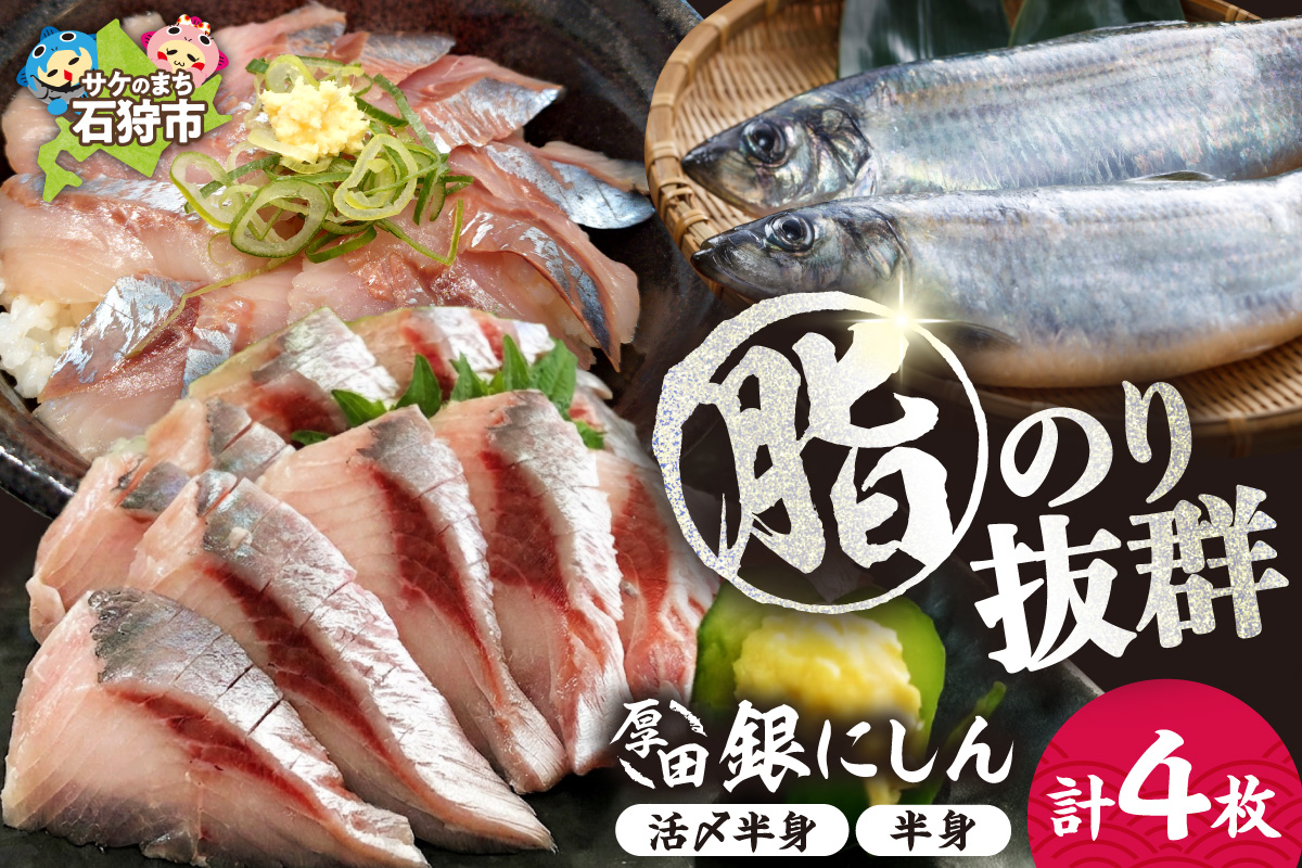 厚田銀にしん（刺身用）4枚入｜にしん 鰊 刺身 北海道 石狩市