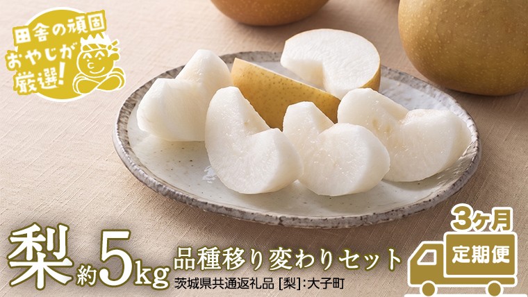 
                  【定期便】梨 約5kg 品種移り変わりセット【2026年8月より3か月連続で発送】（茨城県共通返礼品 [梨]：大子町産） なし ナシ 果物 フルーツ 茨城県産
                