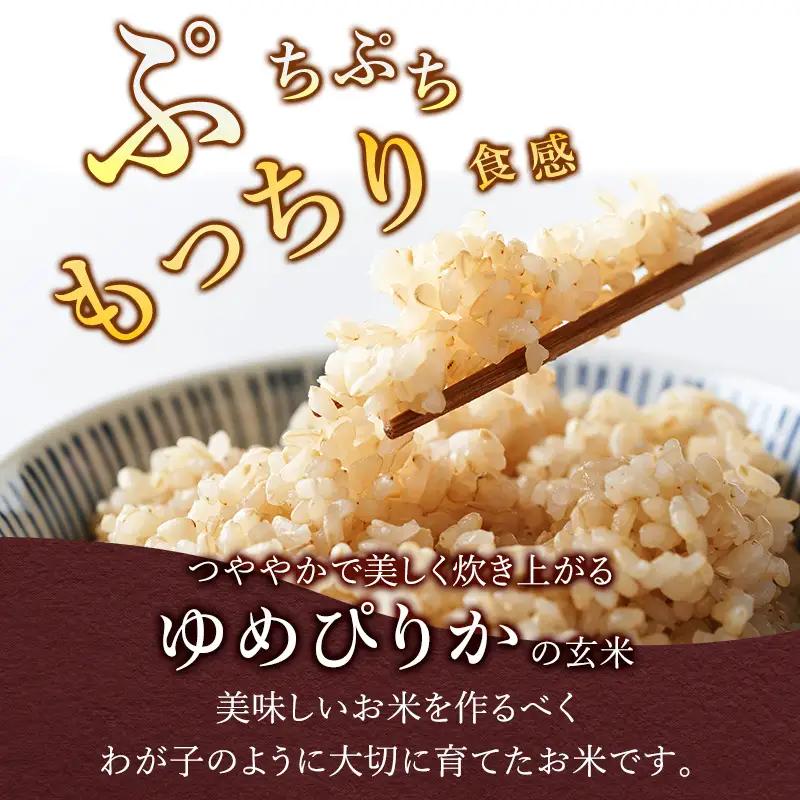 3ヵ月定期便 北海道産ゆめぴりか 玄米 30kg 2025年産 ゆめぴりか