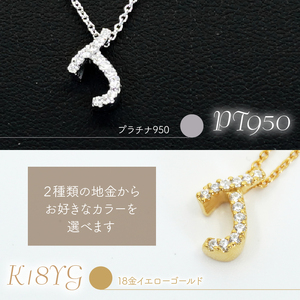 Ｋ18  ダイヤイニシャル ＰＮ ( J ) 管理番号20201005 221-001-J