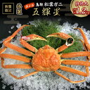 【ふるさと納税】【魚倉】 五輝星 ボイル 松葉ガニ （特特大 1.2kg） 数量限定 品 ズワイガニ 松葉蟹 鳥取県 カニ かに 蟹 冷蔵便